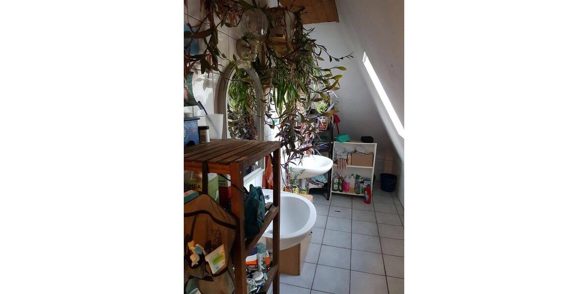 Wohnen auf Zeit Witzenhausen - 1 Zimmer, 8 m&sup2;, 230&euro; | Angebot:24817329