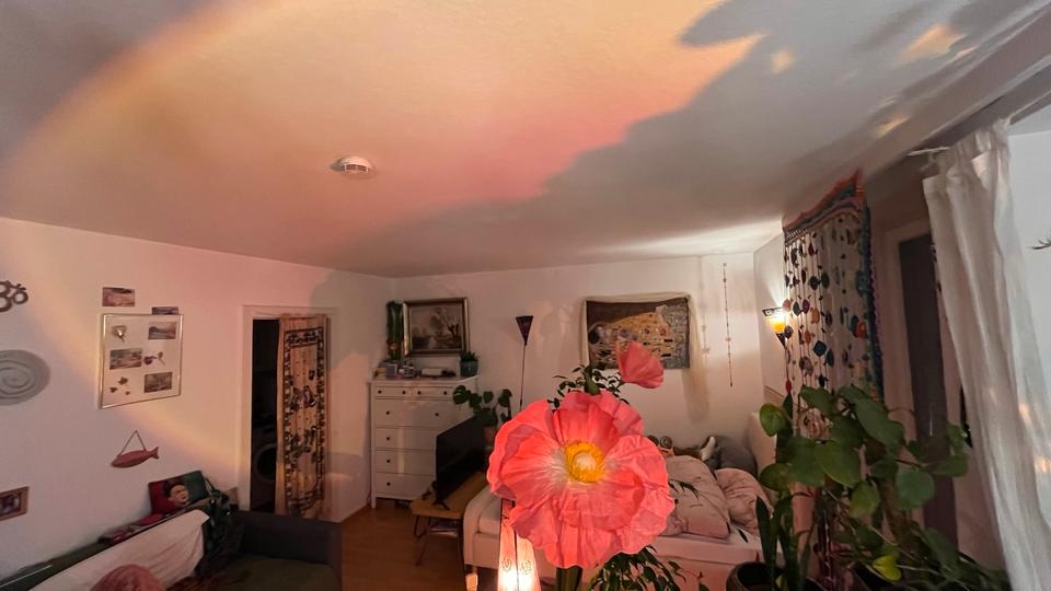 Etagenwohnung Hannover Vahrenwald-List - 1 Zimmer, 32 m&sup2;, 580&euro; | Angebot:26632671