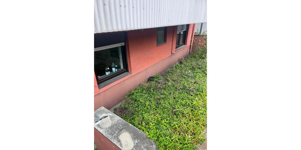 Etagenwohnung Mannheim Sandhofen - 1 Zimmer, 41 m&sup2;, 600&euro; | Angebot:26208115