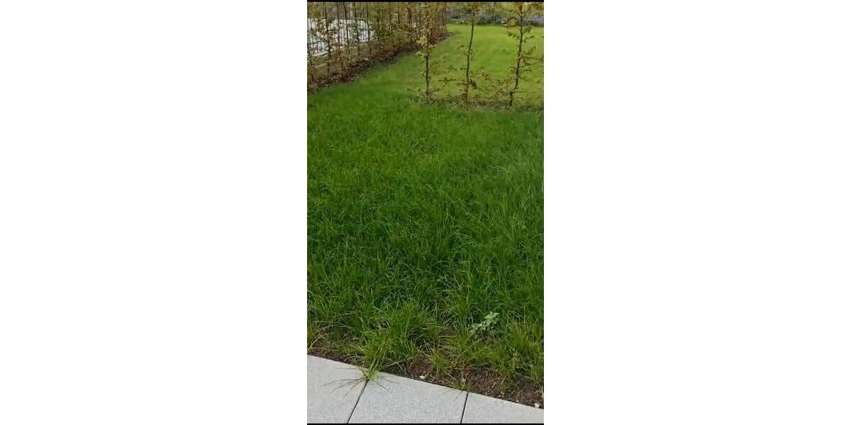 Erdgeschoßwohnung Bad Homburg vor der Höhe Gonzenheim - 2 Zimmer, 63 m&sup2;, 1.220&euro; | Angebot:24624209