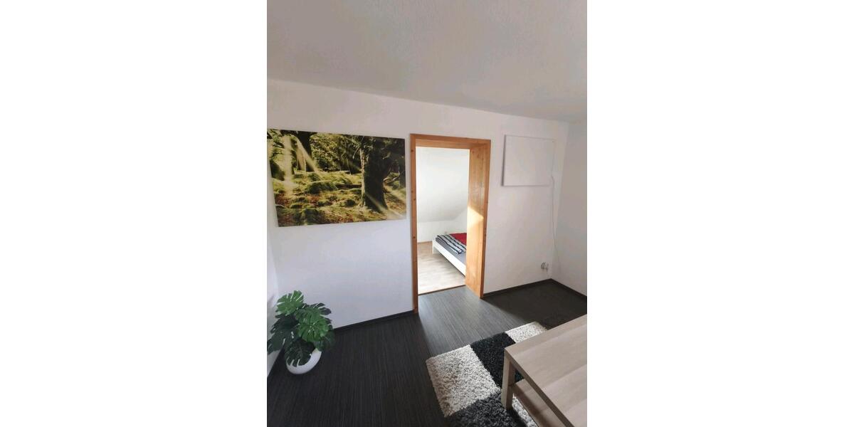 Wohnen auf Zeit Großlittgen - 1 Zimmer, 12 m&sup2;, 650&euro; | Angebot:26447191