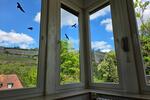 Etagenwohnung Würzburg Steinbachtal - 1.5 Zimmer, 17 m&sup2;, 525&euro; | Angebot:26602918
