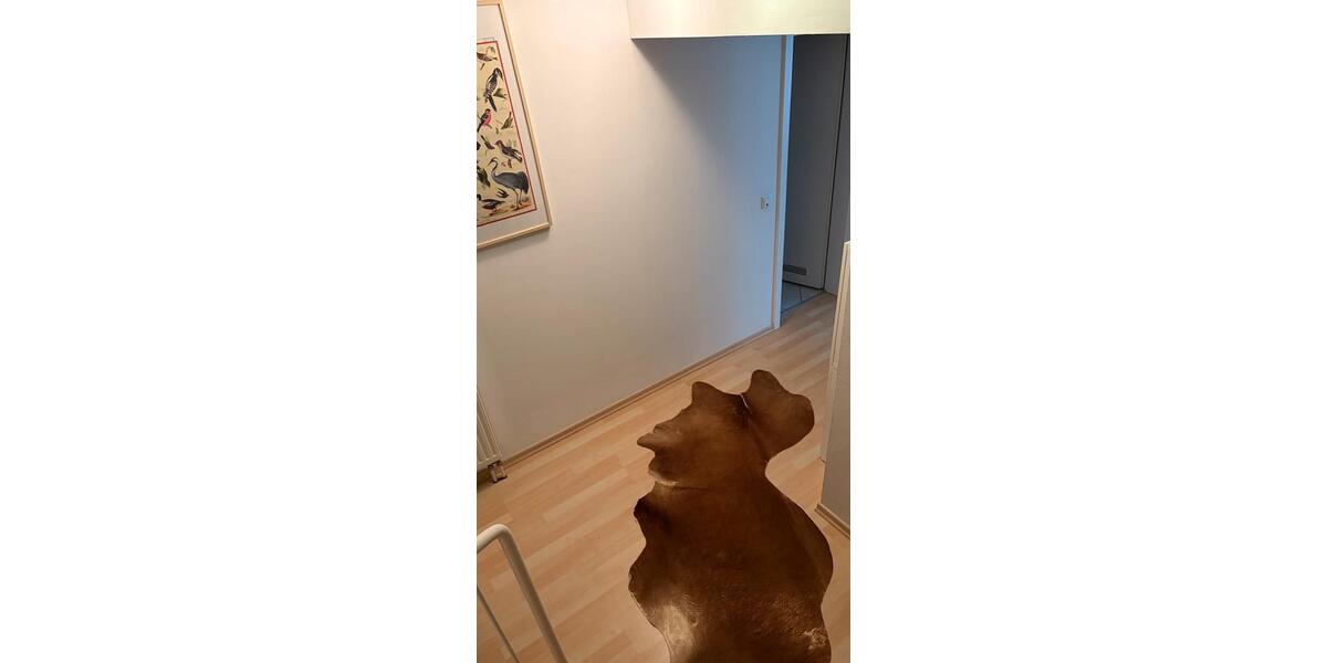 Erdgeschoßwohnung Halle (Saale) Frohe Zukunft - 2 Zimmer, 76 m&sup2;, 750&euro; | Angebot:26676919