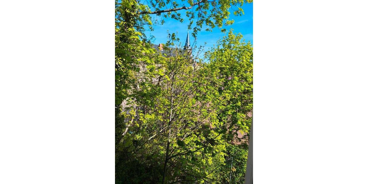 Dachgeschoßwohnung Wernigerode - 2 Zimmer, 65 m&sup2;, 690&euro; | Angebot:26336034