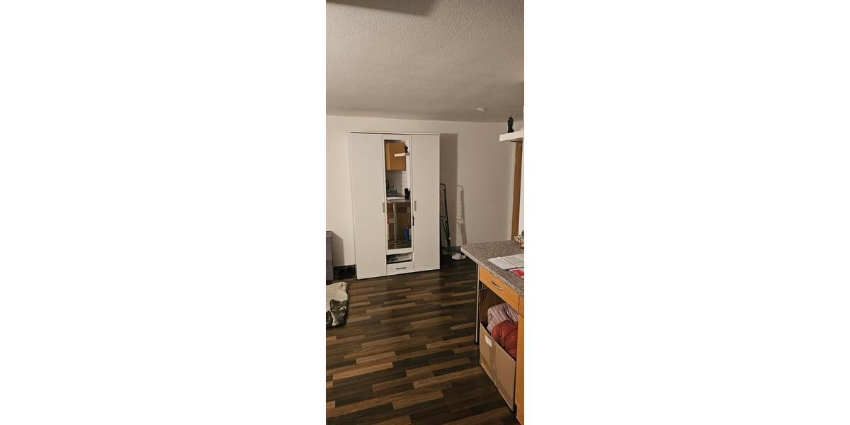 Etagenwohnung Würzburg Frauenland - 1 Zimmer, 20 m&sup2;, 415&euro; | Angebot:24749436