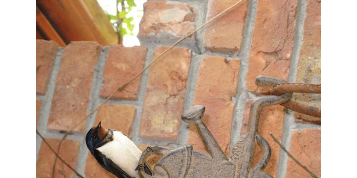 Wohnen auf Zeit Hesel - 1 Zimmer, 17 m&sup2;, 360&euro; | Angebot:24008364