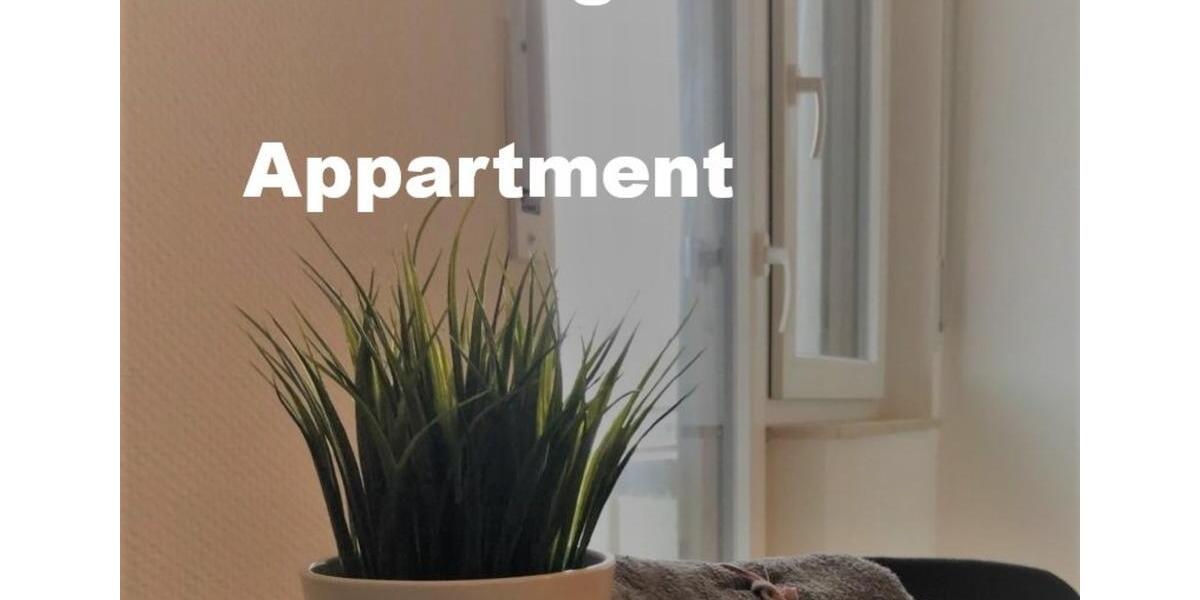 Wohnen auf Zeit Bad Rappenau - 8 Zimmer, 120 m&sup2;, 470&euro; | Angebot:24574669