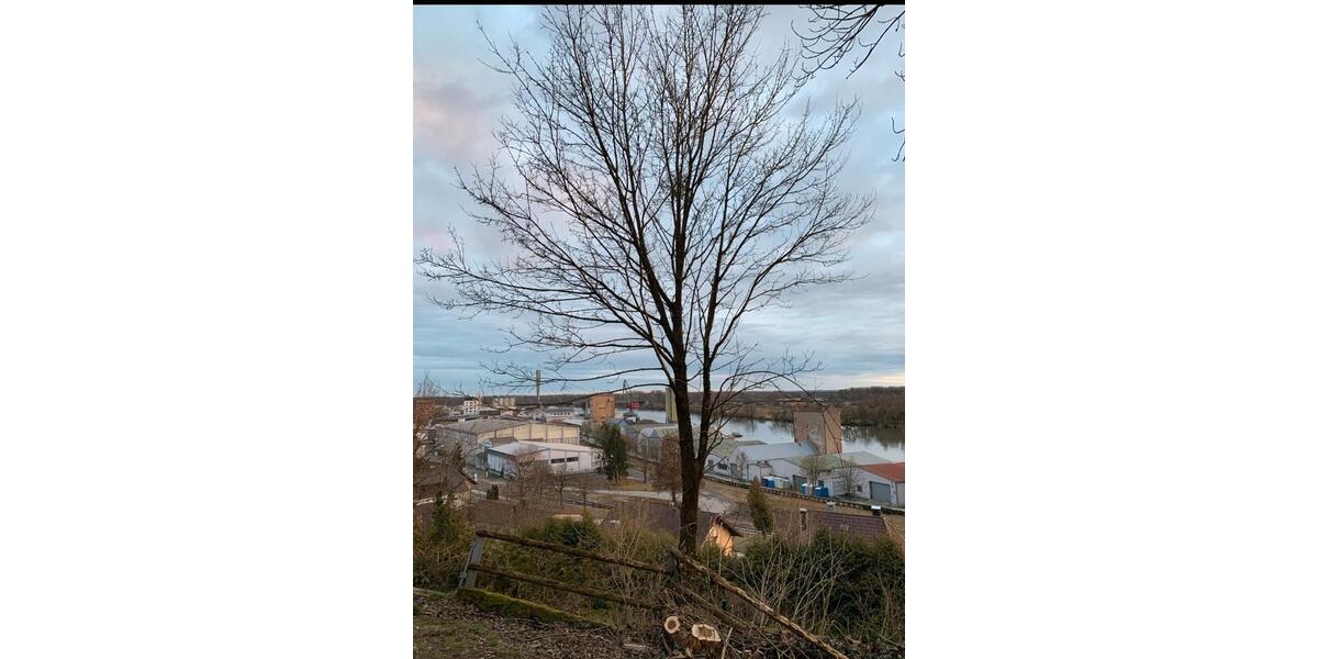 Bungalow Deggendorf - 3 Zimmer, 63 m&sup2;, 890&euro; | Angebot:26272541