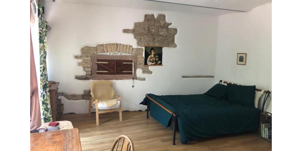 Erdgeschoßwohnung Kindenheim - 1 Zimmer, 34 m&sup2;, 255&euro; | Angebot:25516757