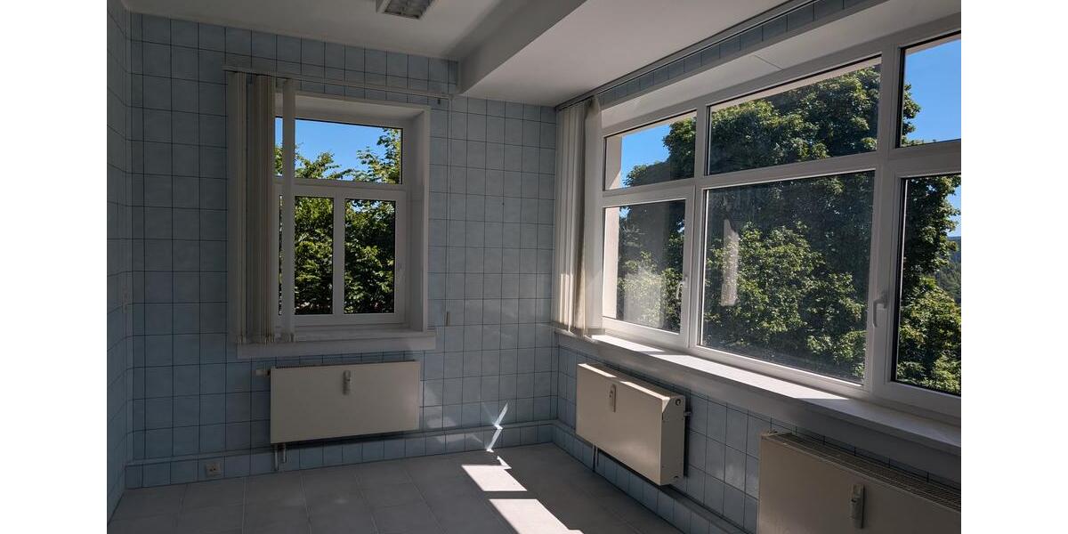 Gewerbeobjekt Falkenstein/Vogtland Vogtland - 150&euro; | Angebot:26658429