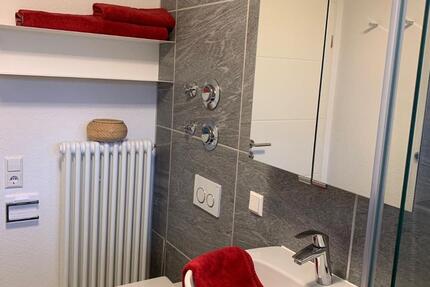 Möblierte 2zimner Wohnung in Albstadt-Laufen 2 zimmer