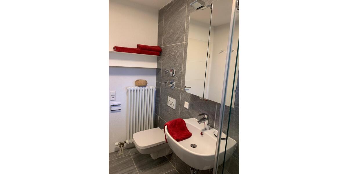 Möblierte 2zimner Wohnung in Albstadt-Laufen 2 zimmer