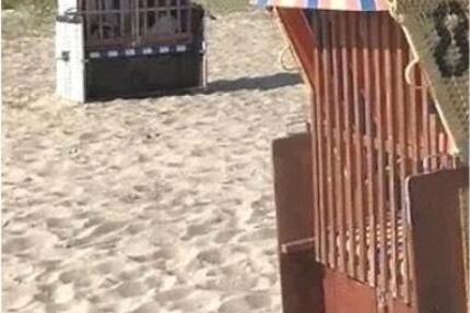 Wohnung Eckernförde - 2 Zimmer, 55 m&sup2;, 850&euro; | Angebot:24852974