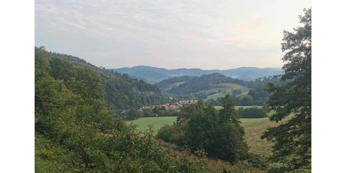 Wohnen auf Zeit Freiburg im Breisgau Haslach - 1 Zimmer, 140 m&sup2;, 550&euro; | Angebot:26218661