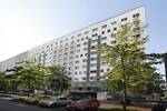 Etagenwohnung Dessau-Roßlau Innenstadt - 3 Zimmer, 70 m&sup2;, 450&euro; | Angebot:26568594
