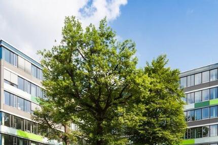 Ohne Makler GewerbeAnlage in 04889 Schildau zimmer