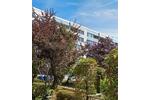Etagenwohnung München Pasing-Obermenzing - 2 Zimmer, 63 m&sup2;, 1.600&euro; | Angebot:26698860