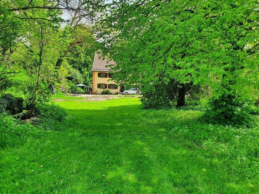 Wohnen im Grünen 2 zimmer