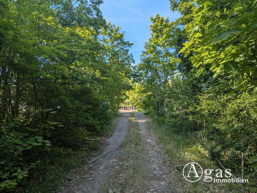 großzügiges Grundstück nahe der Altstadt in Brandenburg an der Havel zimmer