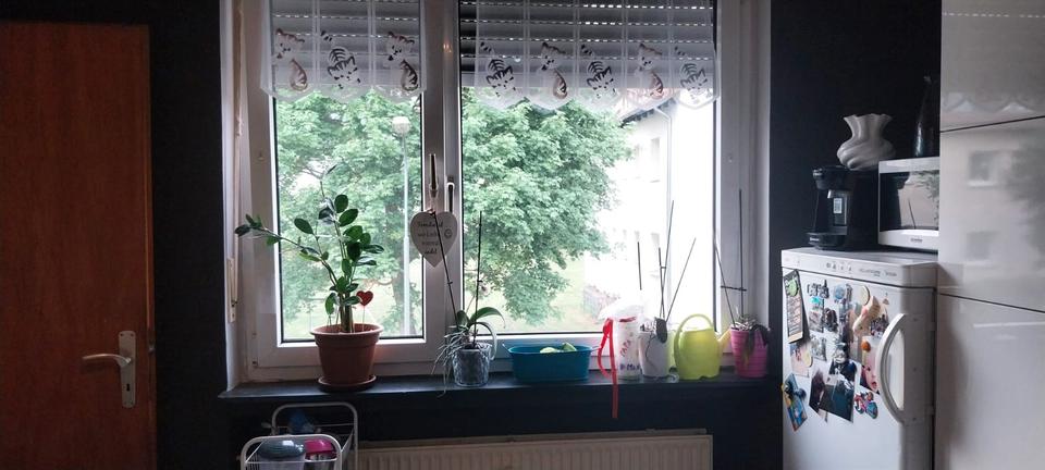 Etagenwohnung Petersberg - 4 Zimmer, 91 m&sup2;, 800&euro; | Angebot:26547070
