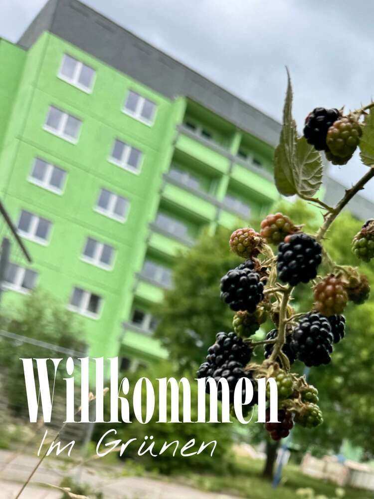 Wohnung zum Mieten in Rötha 272,25 € 36.3 m²
