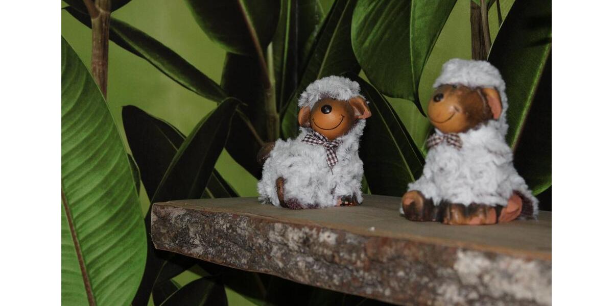 Wohnen auf Zeit Erfurt Daberstedt - 3 Zimmer, 77 m&sup2;, 1.690&euro; | Angebot:18122493