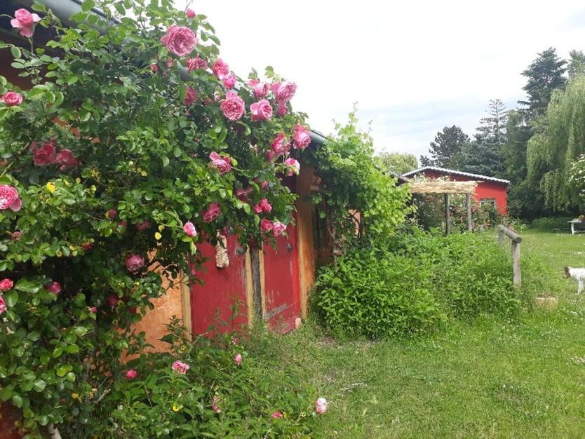 Zimmer in Leipzig Leben & Arbeiten auf kleiner Pferdefarm