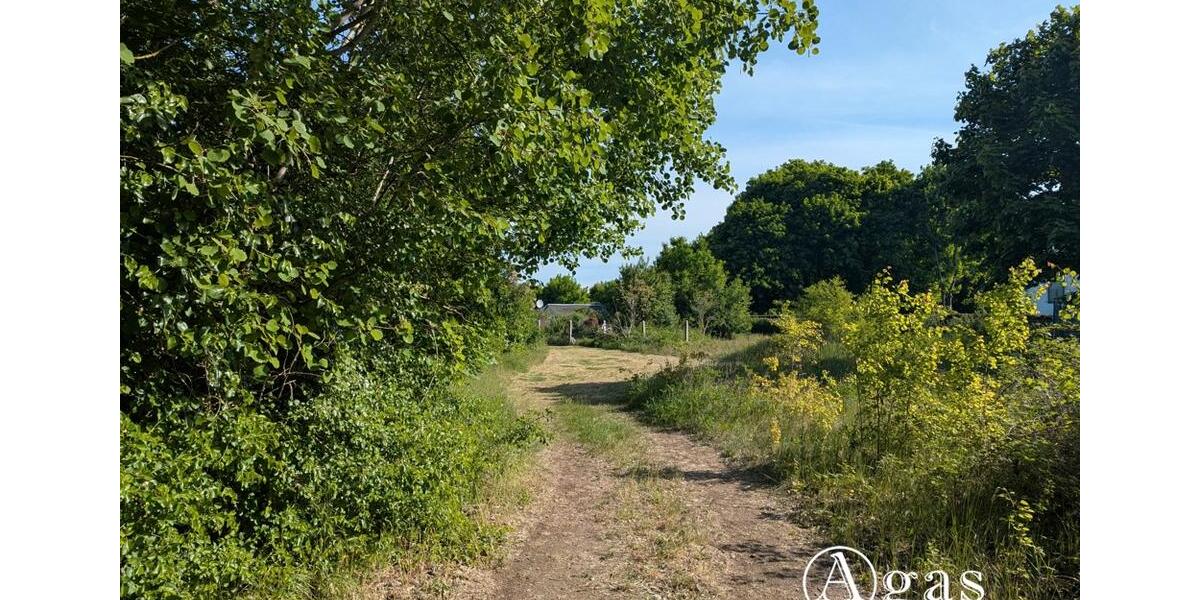 Gewerbeobjekt Brandenburg an der Havel - 1.000&euro; | Angebot:20866315