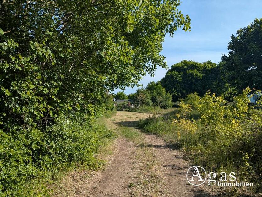 großzügiges Grundstück nahe der Altstadt in Brandenburg an der Havel zimmer