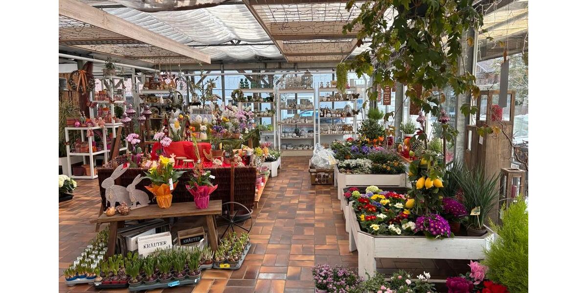 Gewerbeobjekt Eggstätt - 1.974&euro; | Angebot:25984900