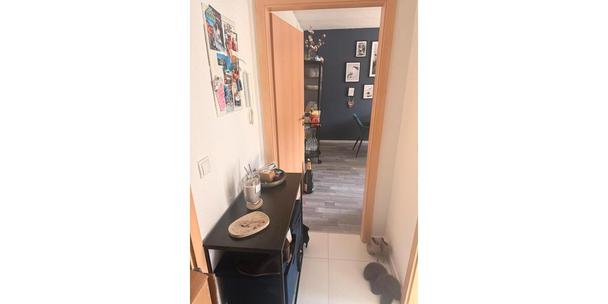 Etagenwohnung Mannheim Käfertal - 2 Zimmer, 55 m&sup2;, 700&euro; | Angebot:26279708