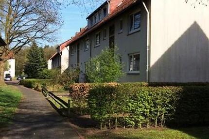 Wer will mich!? 3-Zimmer-Wohnung 3 zimmer