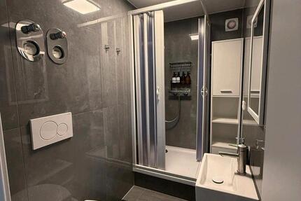 1 Zi Wohnung zu vermieten ab Februar 1 zimmer