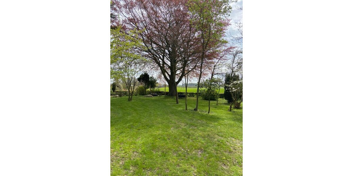 Idyllisch -ländlich,dennoch zentral in Satrup - Appartement Mittelangeln Alt Rehberg | Angebot:26633787
