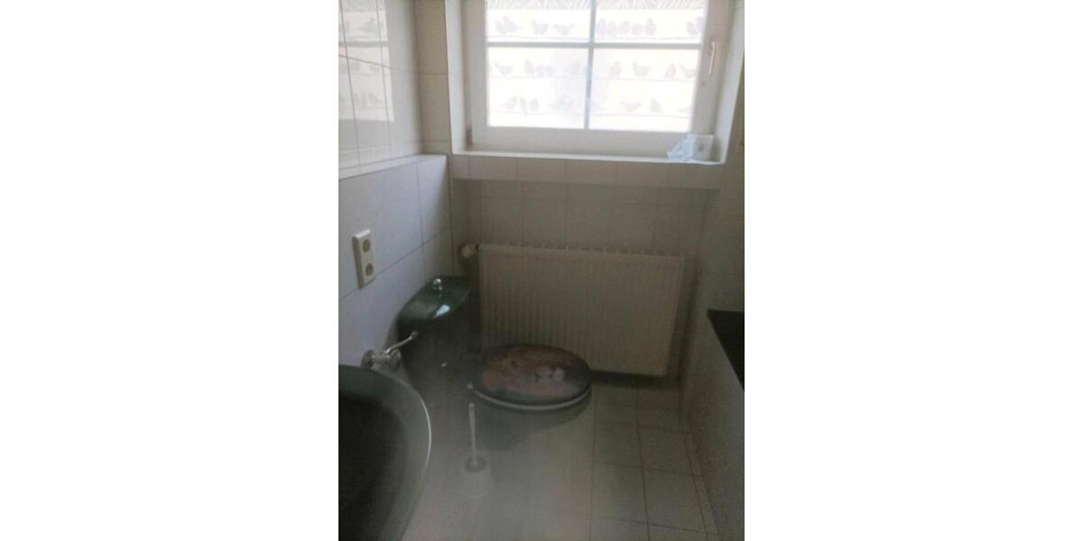 Wohnen auf Zeit Siegburg - 2 Zimmer, 63 m&sup2;, 40&euro; | Angebot:24806956