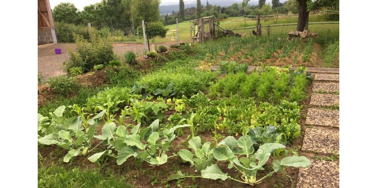 Wohnen auf Zeit Bad Münder am Deister - 1 Zimmer, 32 m&sup2;, 500&euro; | Angebot:25378824