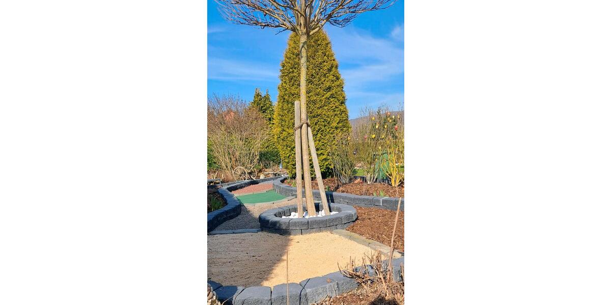 Wohnen auf Zeit Delligsen - 3 Zimmer, 70 m&sup2;, 20&euro; | Angebot:25628334