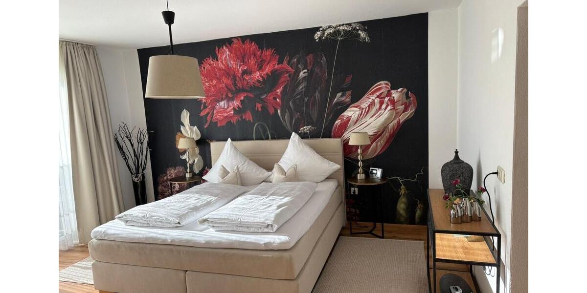 Wohnung neu möbeliert zu vermieten 1 zimmer