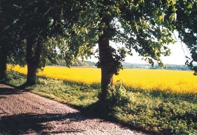 Gewerbeobjekt Binz Ostseebad Binz - 1 Zimmer, 1.600&euro; | Angebot:25725608