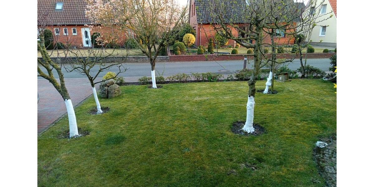 Einfamilienhaus Dinklage - 6 Zimmer, 169 m&sup2;, 1.300&euro; | Angebot:26603339
