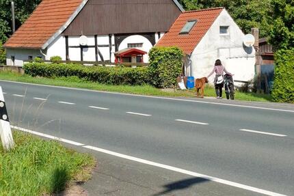 WG-Zimmer in Fachwerkhaus ab sofort zimmer