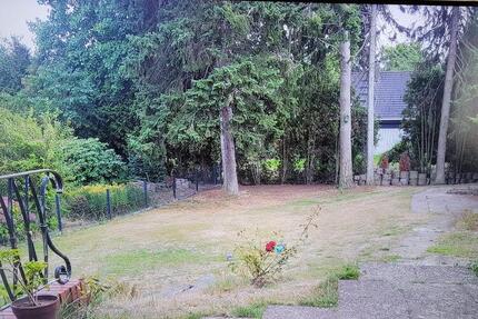 Haus Bruchhausen-Vilsen Vilsen - 8 Zimmer, 197 m&sup2;, 1.620&euro; | Angebot:26319206