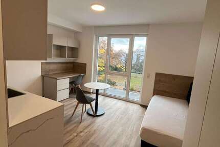 Wohnung zum Mieten in Darmstadt 590 € 23 m² 1 zimmer
