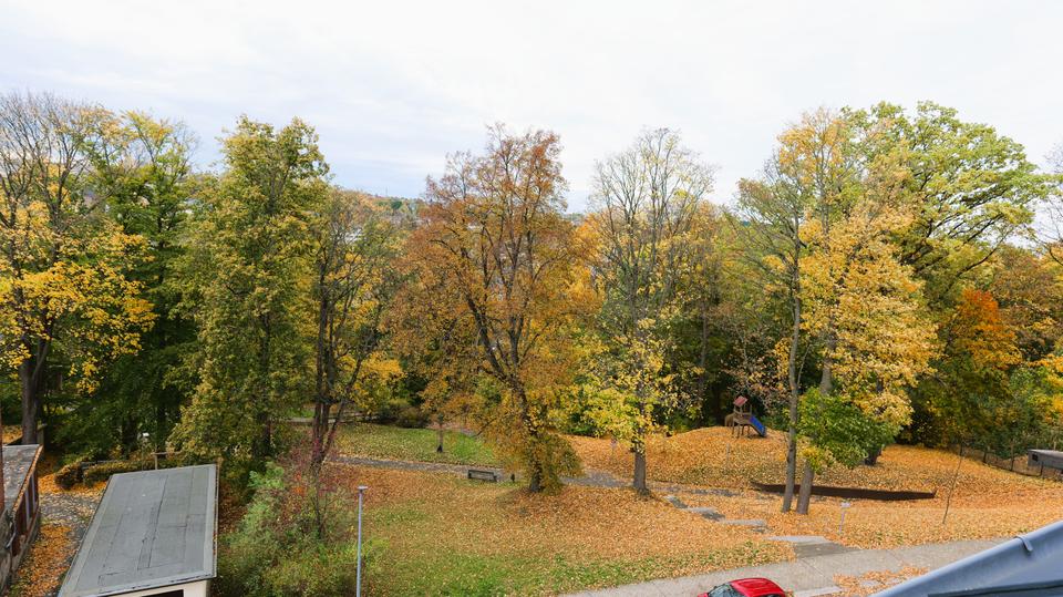 Dachgeschoßwohnung Auerbach/Vogtland Vogtland - 2.5 Zimmer, 59 m&sup2;, 330&euro; | Angebot:23201719