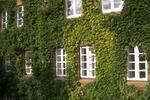 Dachgeschoßwohnung Dannenberg (Elbe) - 2 Zimmer, 55 m&sup2;, 385&euro; | Angebot:26296875