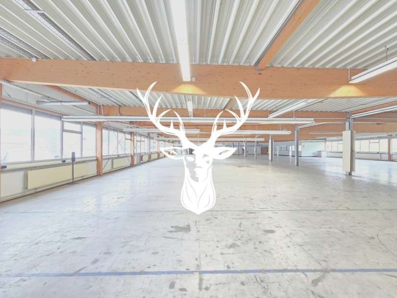 Halle in Wehingen 10.000 € 3133 m² zimmer