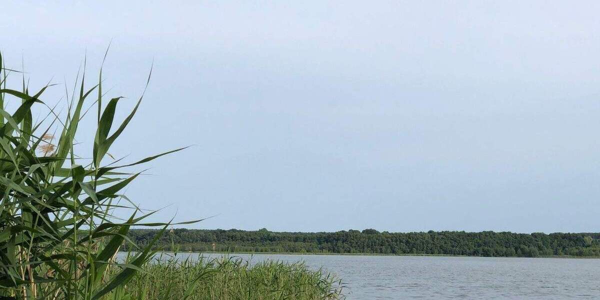 Etagenwohnung Bestensee - 4 Zimmer, 107 m&sup2;, 1.515&euro; | Angebot:25732278