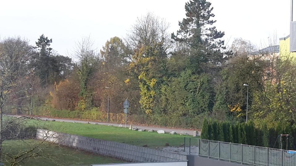 Etagenwohnung Simbach am Inn - 2 Zimmer, 75 m&sup2;, 825&euro; | Angebot:26638637