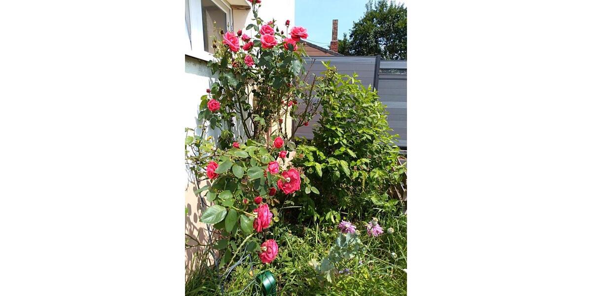 Reihenhaus Zerf - 3 Zimmer, 120 m&sup2;, 845&euro; | Angebot:26040443