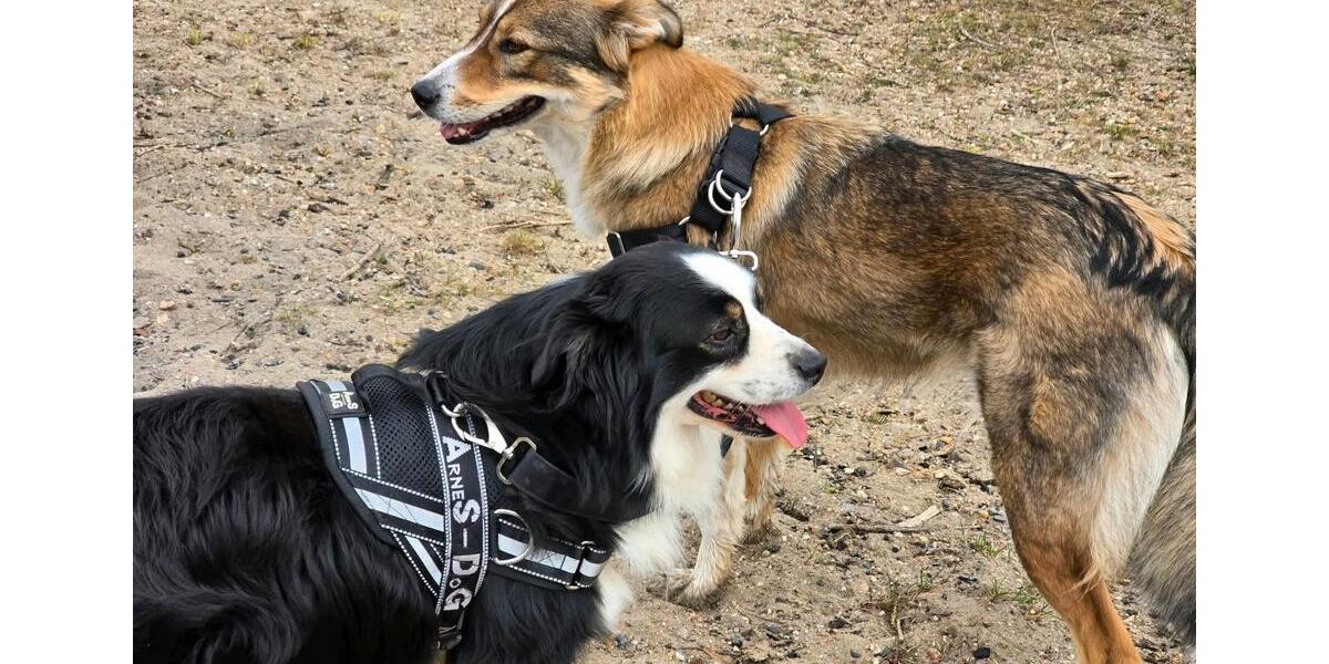 Wohnen auf Zeit Burg - 1 Zimmer, 45 m&sup2;, 58&euro; | Angebot:24747382